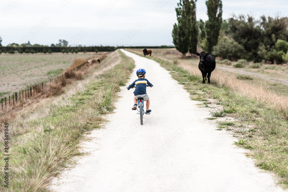 Preschooler riding a bike on a path next to a cow Preschooler riding a bike on a path next to a cow