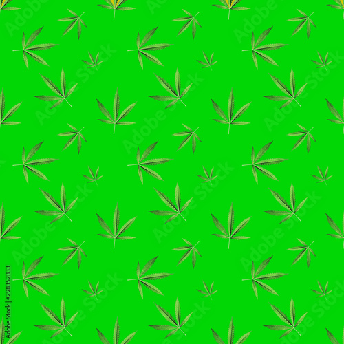 Seamless background with a green hemp branch with five fingers of leaves, marijuana on a green background, medical legalization of cannabis. Modern style isometric concept.