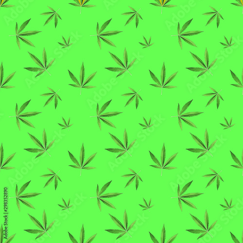 Seamless background with a green hemp branch with five fingers of leaves, marijuana on a soft green background, medical legalization of cannabis. Modern style isometric concept.