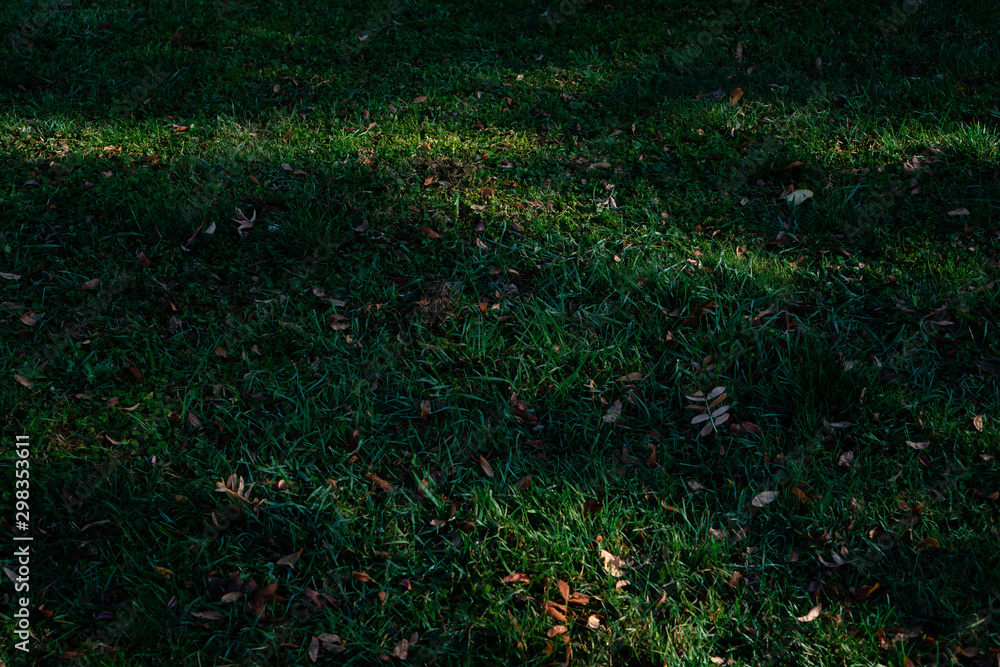 Background of dark green grass with sun gaps on it. Horizontal orientation. Background of dark green grass with sun gaps on it. Horizontal orientation.