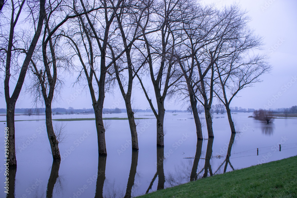 high water in the river with trees