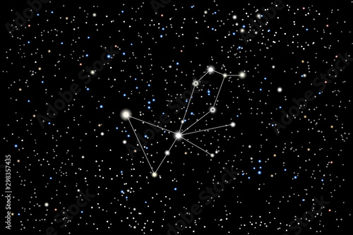 Vector illustration of the constellation Pavo (Peacock) on a starry black sky background. The astronomical cluster of stars in the Southern Celestial Hemisphere 