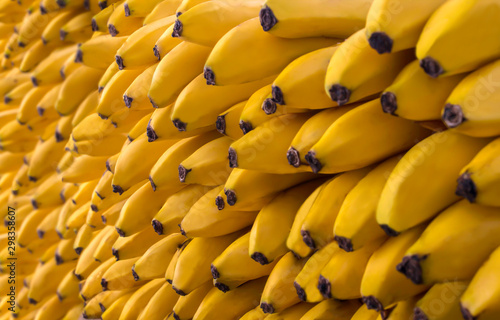 banana fruta tropical en grupo