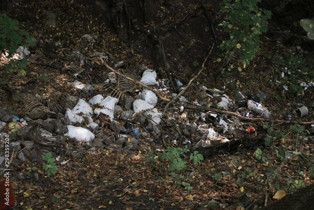 A huge dump in the forest A huge dump in the forest