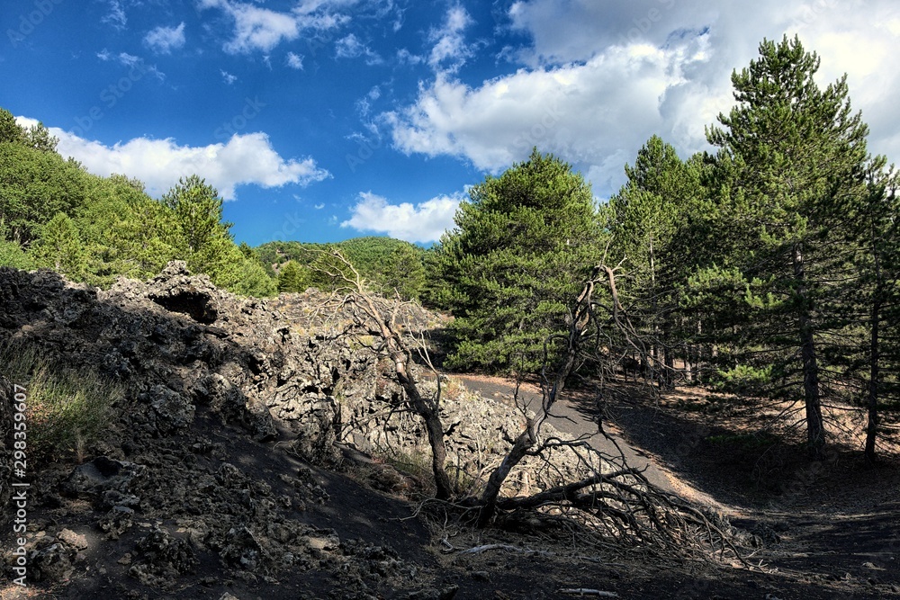 Volcanic Landscape, Dead Shrubs And Pinewood In Etna Park, Sicily