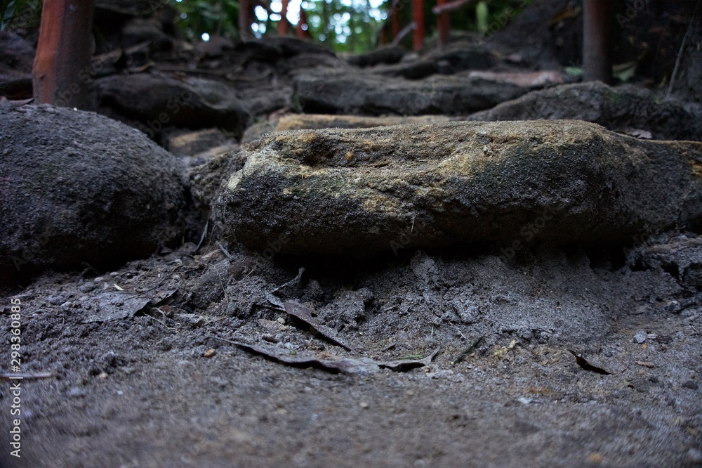 Rock Rock