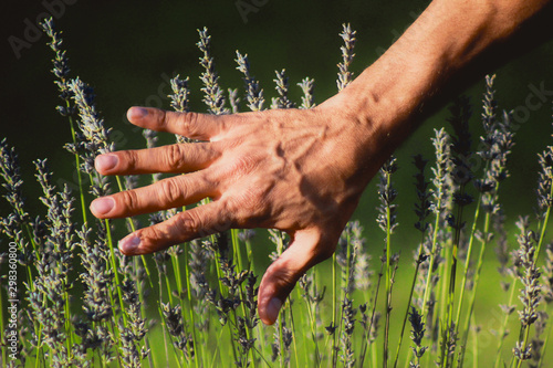 Mano tocando la hierba en un campo verde