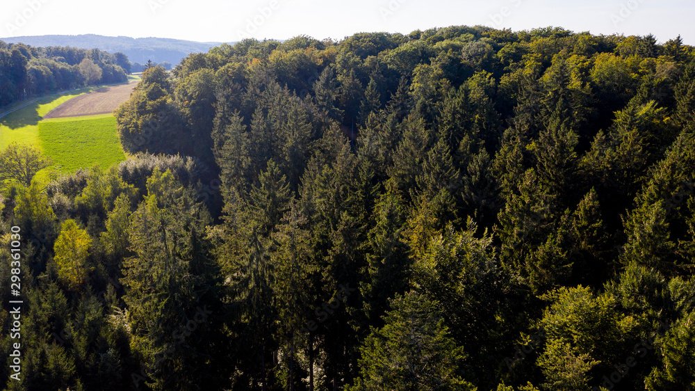 Felder - Wald - Wiesen - Luftbild Felder - Wald - Wiesen - Luftbild