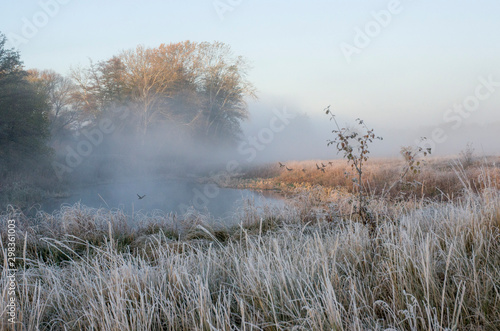 cold autumn dawn fog over the lake and frost on the grass