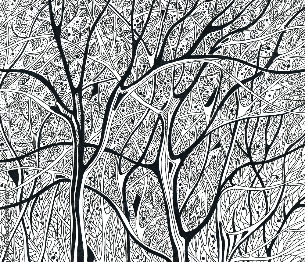 winter trees without leaves black and white graphics drawing winter trees without leaves black and white graphics drawing