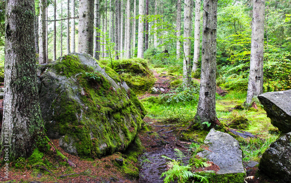 Rugged landscape Rugged landscape