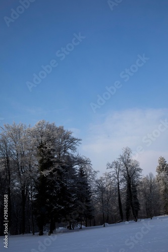 Winter - Schloss Lichtenstein