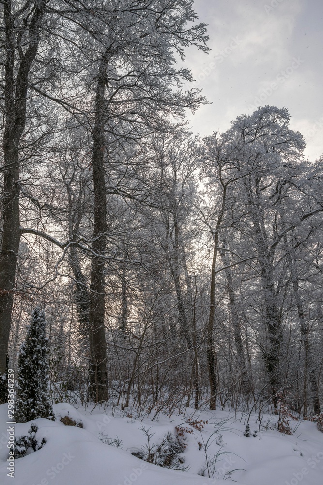 Winter - Schloss Lichtenstein