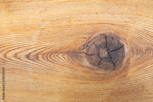 wood texture background with knot  photo