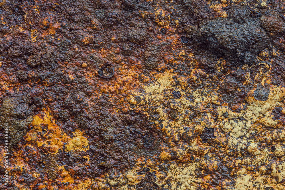 Rust Rust