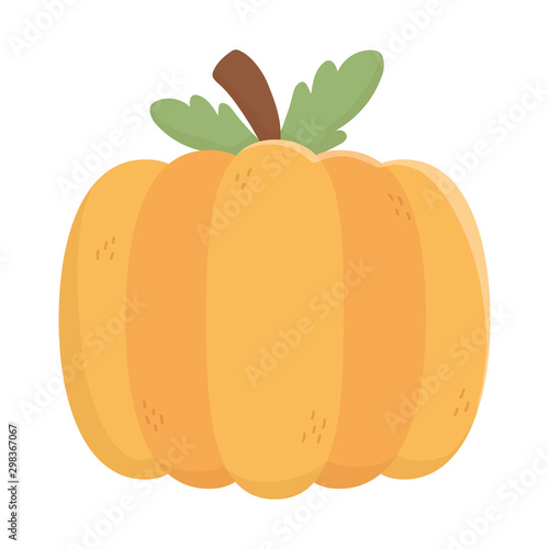 pumpkin vegetable fresh autumn on white background