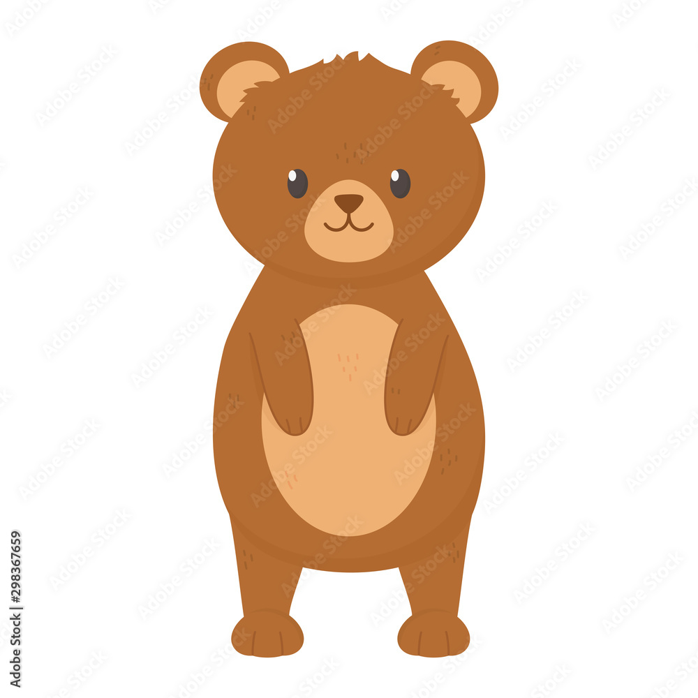 bear standing animal on white background