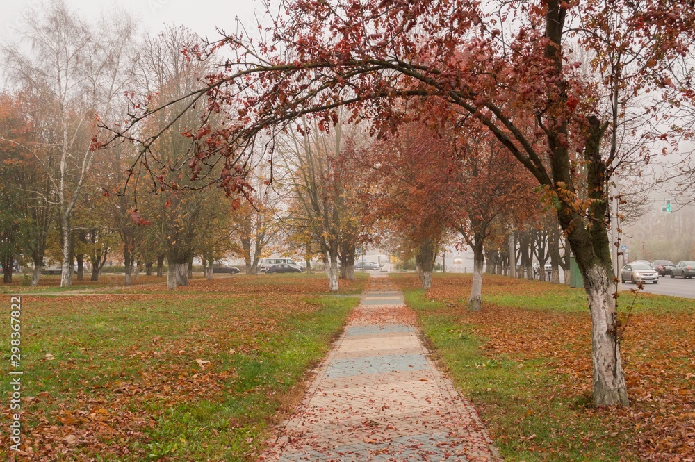 Late autumn. The path in the autumn Park, strewn with fallen lea
