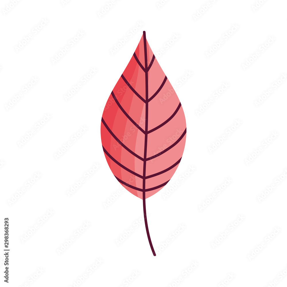 natural leaf foliage autumn on white background natural leaf foliage autumn on white background