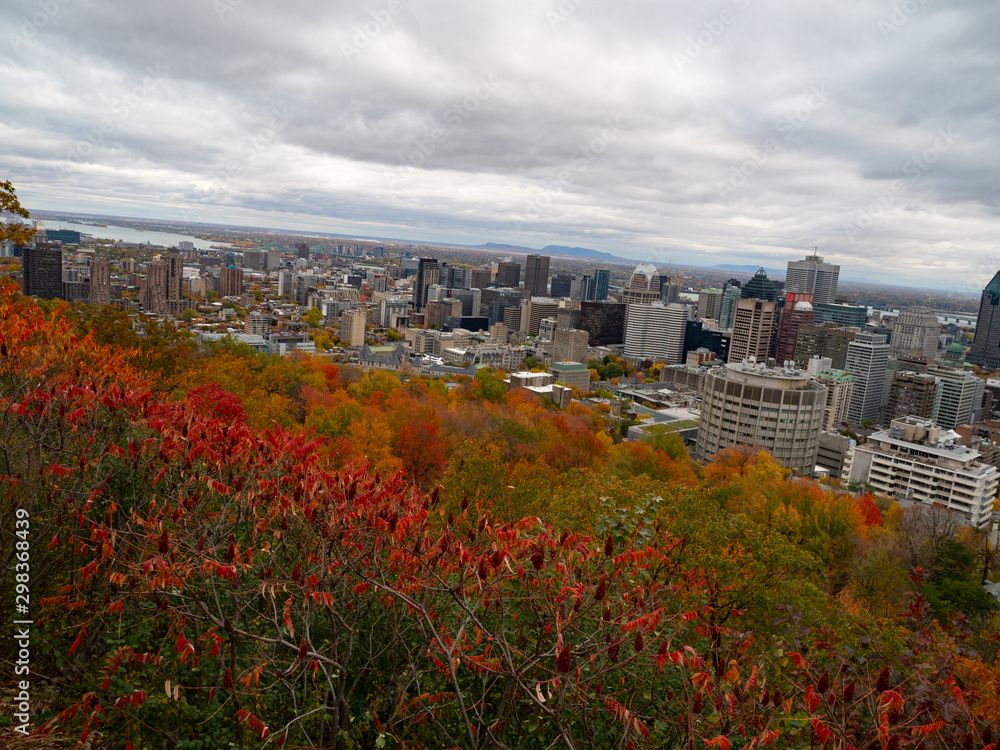 montreal skyline in fall 