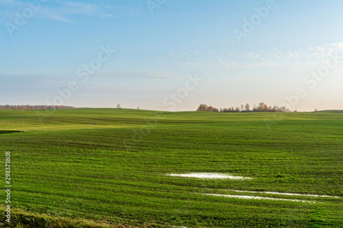 Green field and blue sky with white cloud, nature landscape background