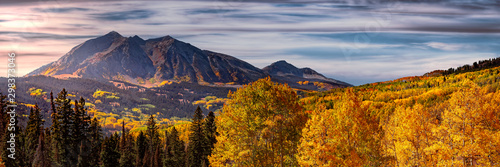 Changing of the Aspen Leaves in the Rocky Mountains of Colorado during Autumn season. 