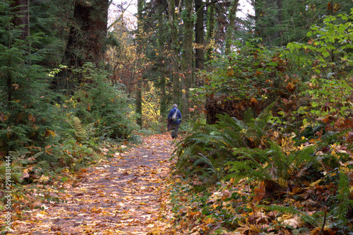 Man wearing a blue vest, walking on a hiking trail in a Canadian Rain Fores in early fall.