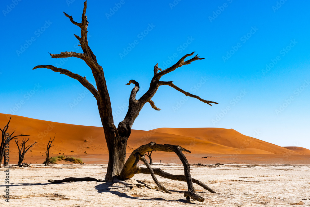 Désert de Sossusvlei en Namibie, Afrique Désert de Sossusvlei en Namibie, Afrique