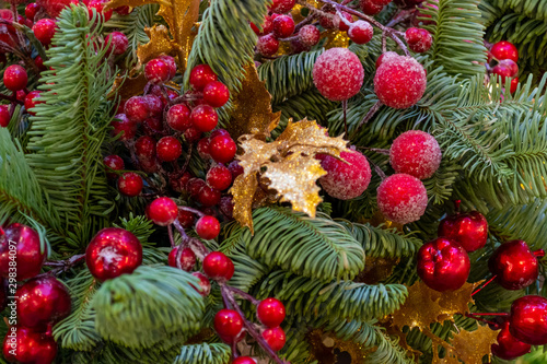 Christmas decorations. Real spruce on the street. Red berries covered with snow, weigh on a branch. close-up. Macro. Xmas