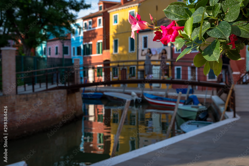 colorful houses on canal in Burano ,the focus is on a wall flower in the right part of the image
