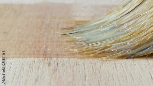 Painting the wooden surface with a colorless varnish Application of varnish on a wooden surface with a brush made of natural pile