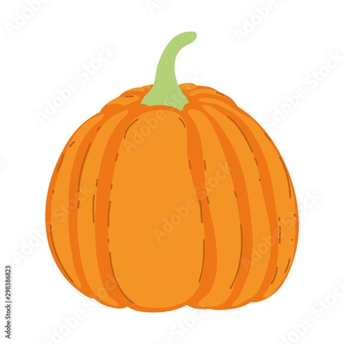 pumpkin vegetable fresh on white background