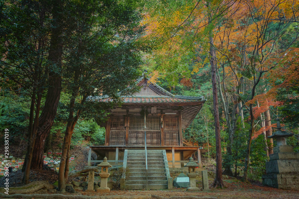滋賀県、胡宮神社の境内の観音堂と紅葉の風景です 滋賀県、胡宮神社の境内の観音堂と紅葉の風景です