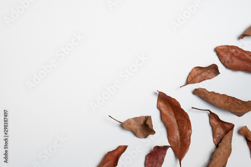 Autumn composition. Frame made of autumn leaves, Flat lay leaf on white background, top view, copy space © gexphos
