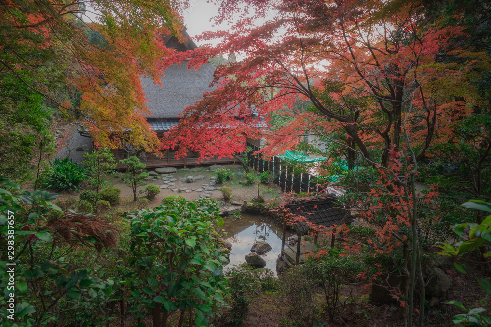 滋賀県、多賀町の胡宮神社の社務所庭園の紅葉です
