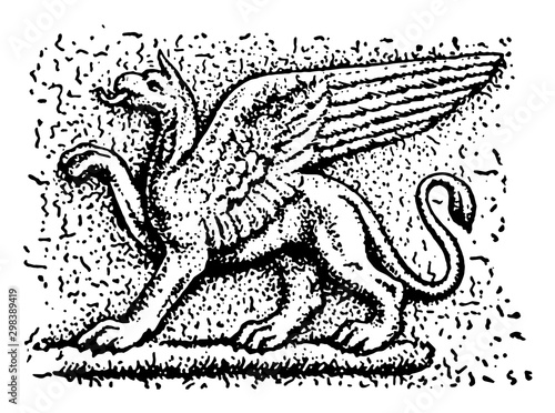 Griffin vintage illustration.