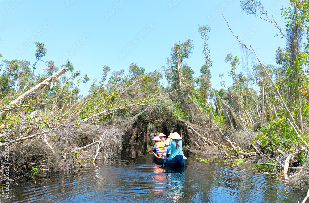 The ferryman takes traveler on a boat tour along the canals in the melaleuca forest. This is an eco tourism area at Mekong Delta in Long An, Vietnam The ferryman takes traveler on a boat tour along the canals in the melaleuca forest. This is an eco tourism area at Mekong Delta in Long An, Vietnam