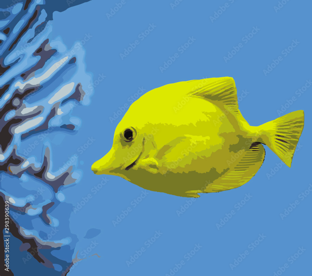 Naklejka premium tropical fish 3