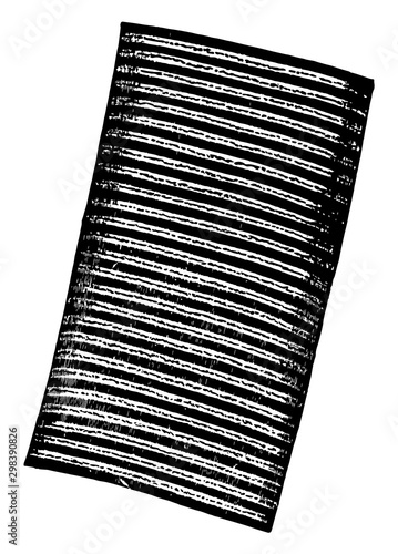 Fiber of Muscular Tissue Showing Alternating Bands, vintage illustration.