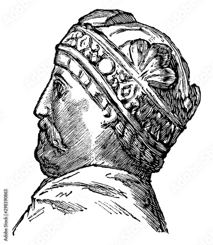 Charlemagne, vintage illustration