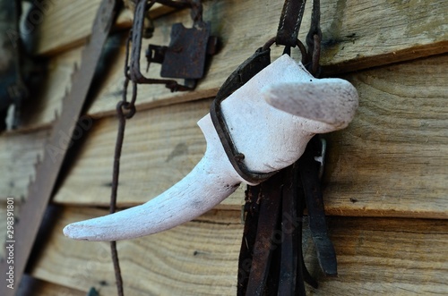 saddle of horse