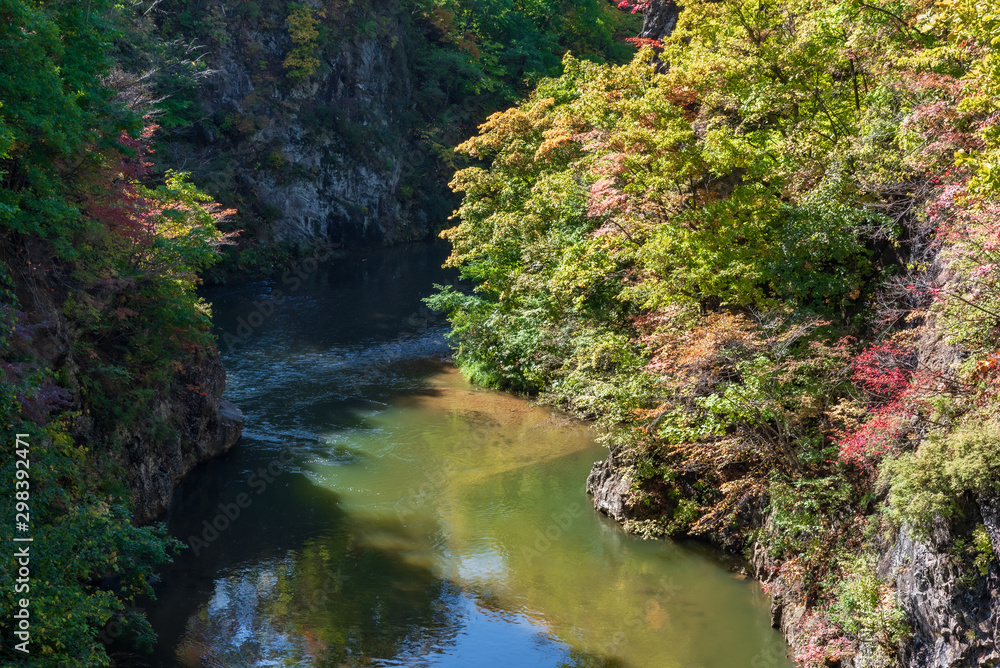 定山渓温泉の渓谷と紅葉 / 北海道 札幌市 定山渓温泉 定山渓温泉の渓谷と紅葉 / 北海道 札幌市 定山渓温泉
