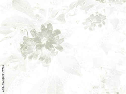 Abstract flower background with light grey colors, wax bump effect. Can be used as banner, presentation, flyer, poster, web design, website, invitations. © nirin