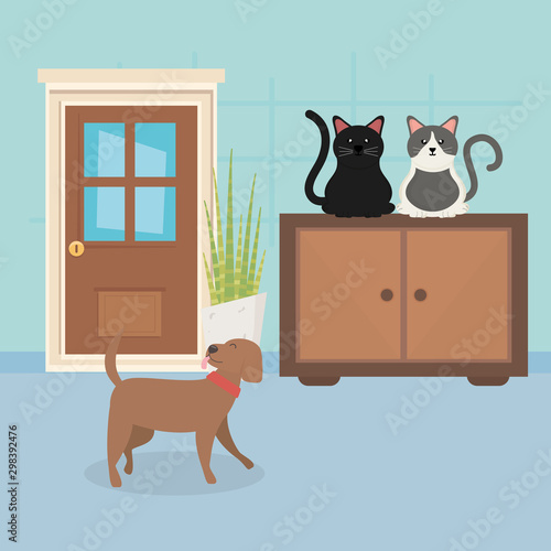 dog and cats sitting in furniture room house pet care
