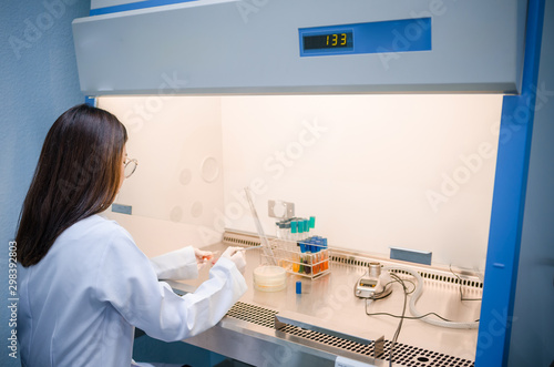 Scientist used chemical solution and equipment lab testing for Bacteria or virus on Fume Hood in laboratory ,Research and Science concept