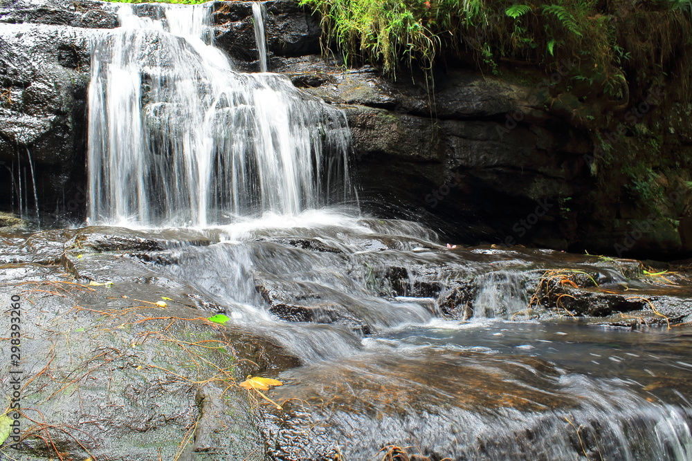 Fototapeta premium beautiful vattakanal waterfalls on levinge stream at kodaikanal hill station, tamilnadu in india. kodaikanal is one of the best hill station of south india or indian peninsula
