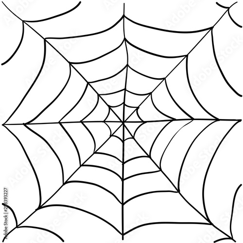 spider web illustration with handddrawn doodle style