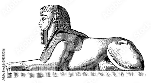 Sphinx at Thebes, amon, vintage engraving.
