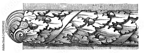 Roman Astragal, Roman Ovolo Molding, vintage engraving.