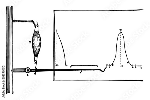 Recording of a Muscular Contraction, vintage illustration.